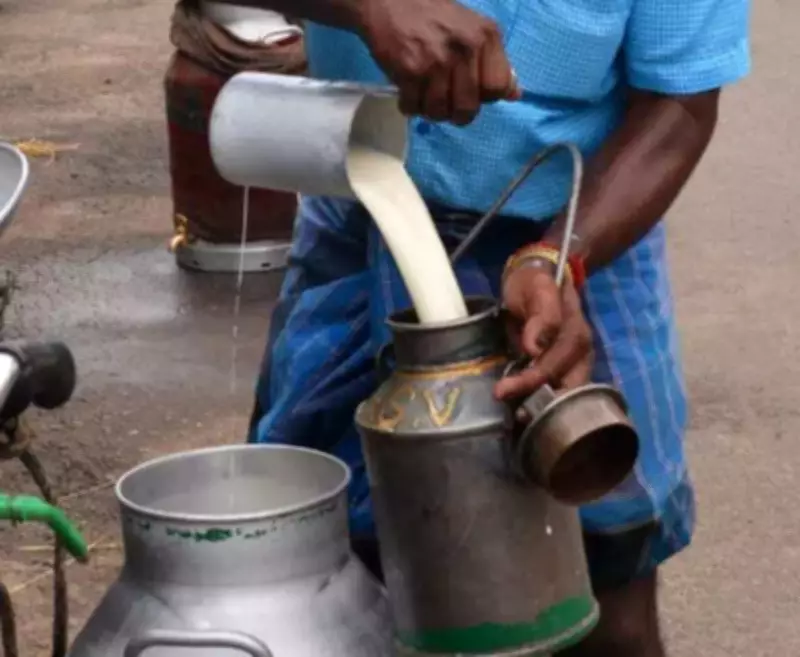 Food Safety Crackdown in Andhra Pradesh After Adulterated Milk Deaths