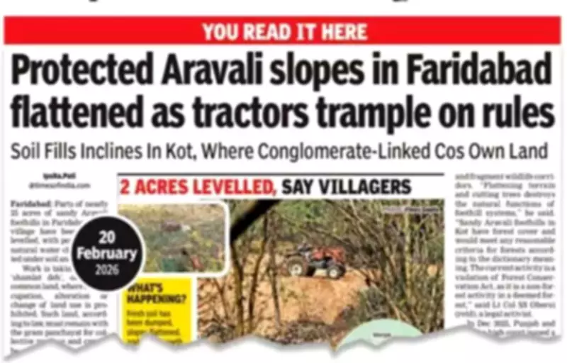Forest Department Files Damage Report for Illegal Tree Felling in Faridabad's Aravali Foothills
