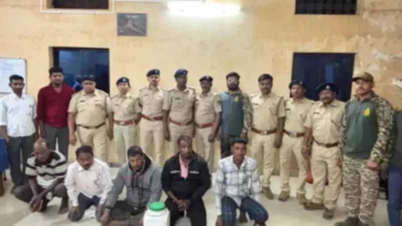 Forest Department Seizes 7 Protected Red Sand Boa Snakes in Chandrapur Raid
