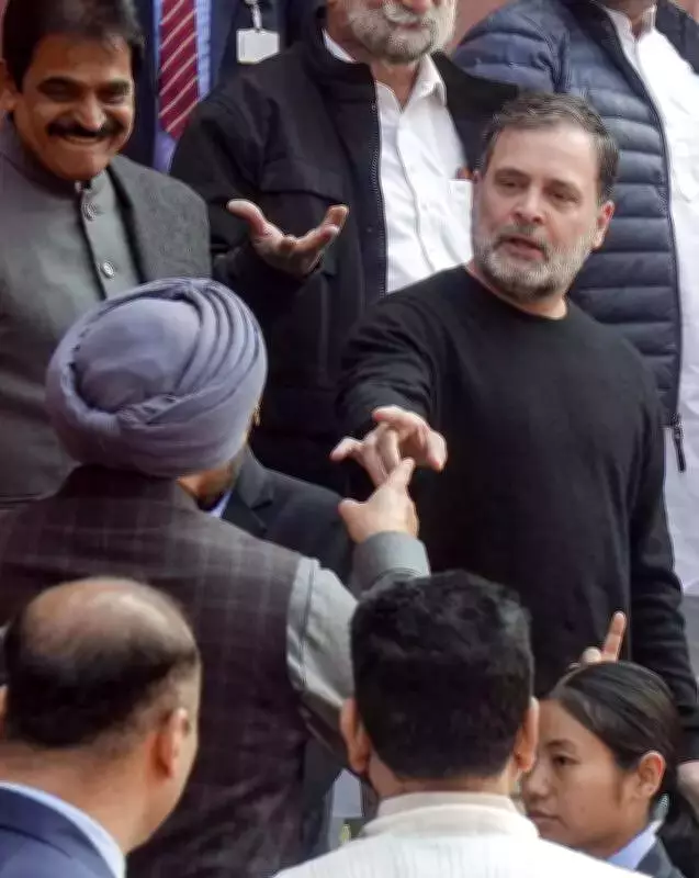 Former DSGMC Chief Accuses Delhi Gurdwaras Under Siege, Meets Rahul Gandhi
