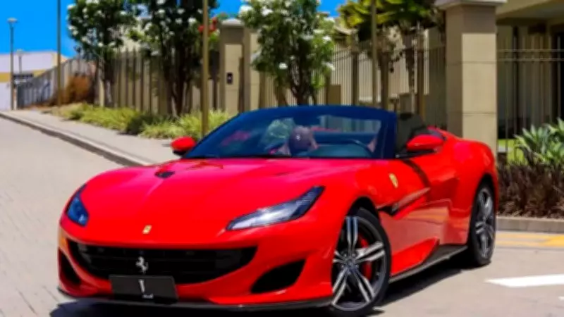 French Homeless Man Drives $250K Ferrari, Exposes $4M Welfare Fraud Scheme