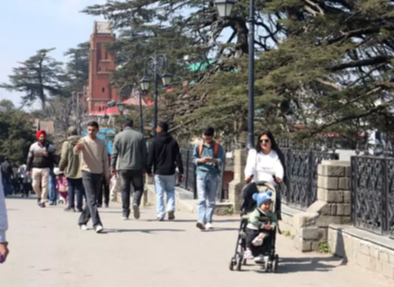 Fresh Snow and Rainfall Expected in Himachal's Higher Reaches on February 23