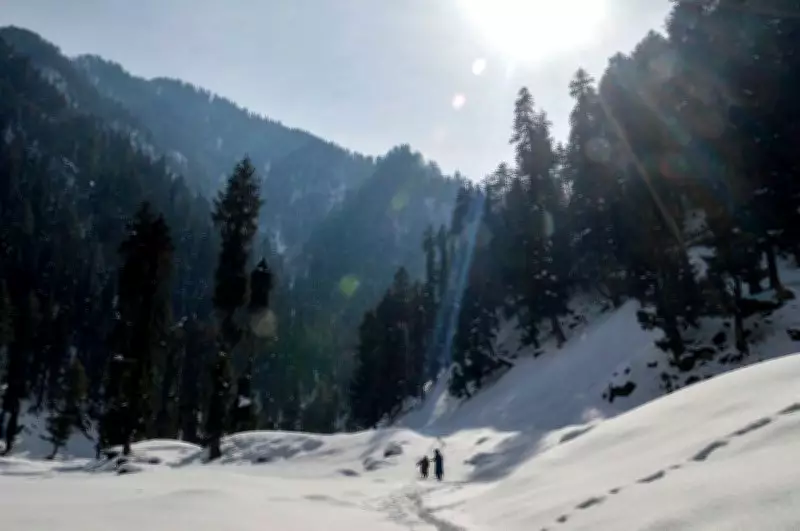 Fresh Snowfall Blankets Higher Reaches of Kashmir, Boosting Tourism