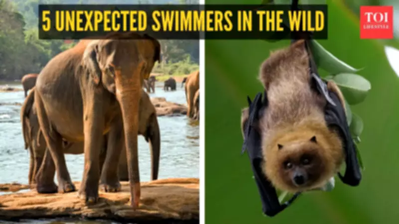 From Elephants to Bats: 5 Surprising Animals That Can Swim in the Wild