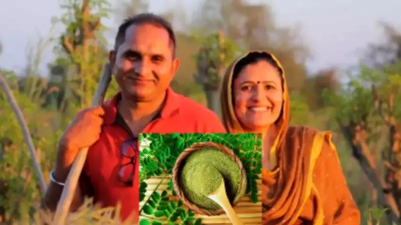 From IT Engineer to Moringa Mogul: How a Delhi Terrace Experiment Sparked a ₹30 Lakh Organic Empire