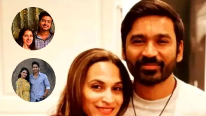 From Vijay to Dhanush: South Indian Celebrity Divorces That Shocked Fans