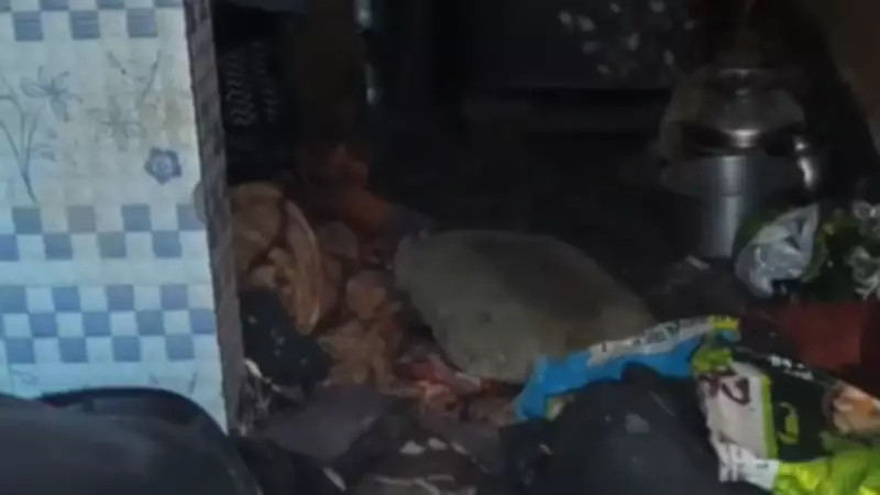 Gas Cylinder Explosion in Delhi Leaves Family with Severe Burn Injuries