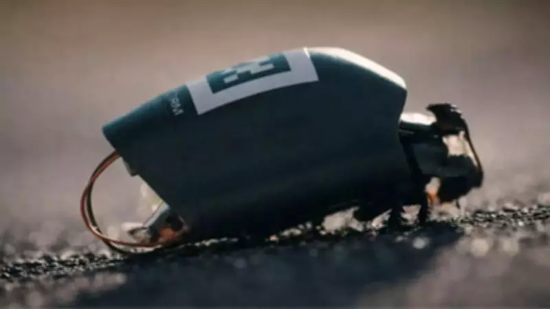 Germany Develops Bioelectronic Insects for Military Surveillance and Reconnaissance