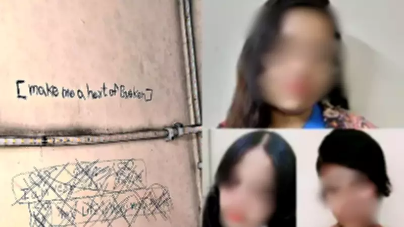 Ghaziabad Sisters' Suicide: Isolation, K-Pop Obsession & Family Strain Revealed in Diary