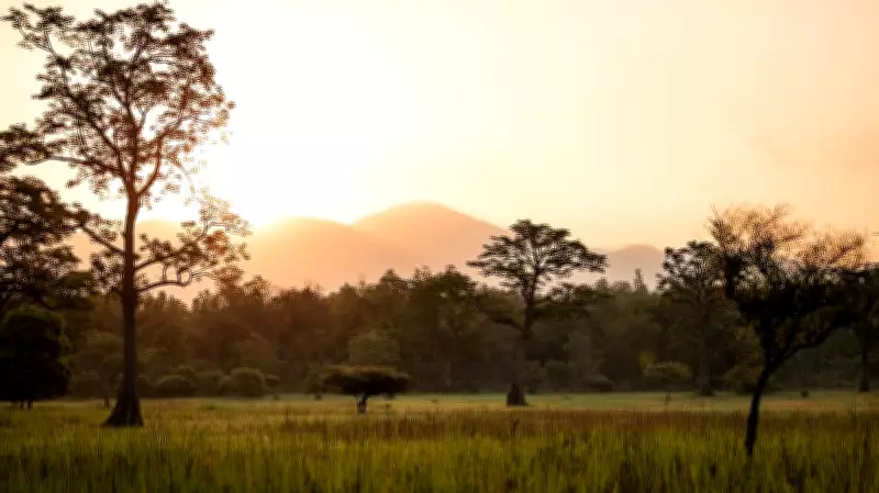 Global Economic Activities Accelerate Biodiversity Decline, Landmark Report Warns