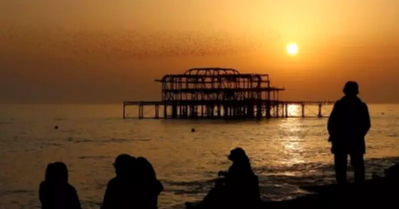 Global Photo Roundup: From Cartel Aftermath to Holi Festivities