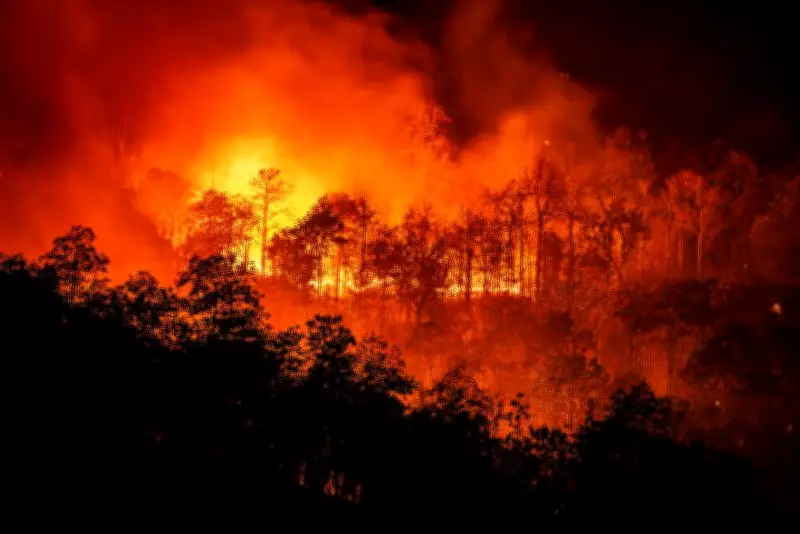 Global Wildfire Risk Tripled Over 45 Years, Climate Change Fuels Crisis
