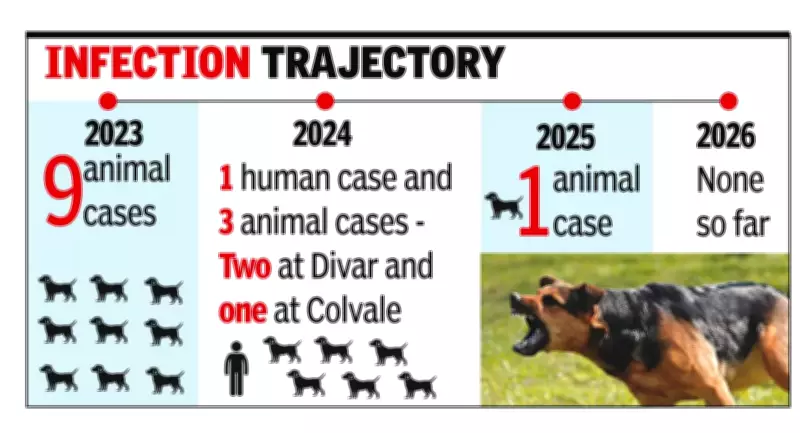 Goa Reports Single Rabies-Positive Dog Case in 2025, Maintains Human Rabies-Free Status