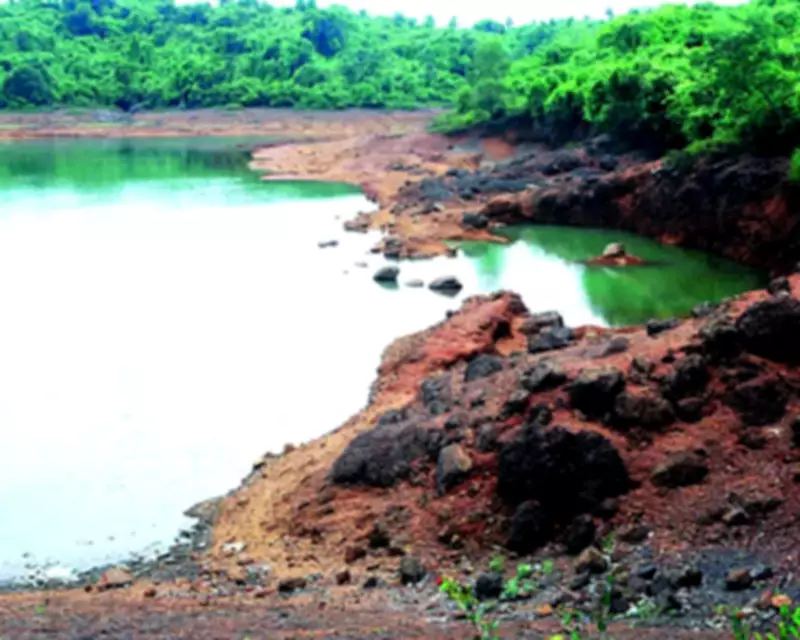 Goa Villagers Demand Wetland Protection, Threaten Agitation Over Bondvoll Lake