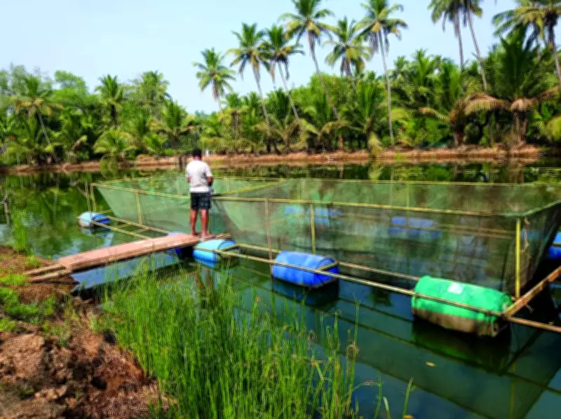 Goa Women Lead Blue Revolution with River Cage Fish Farming Under PMMSY