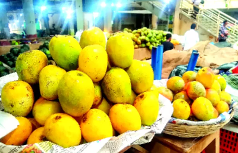 Goa's Prized Mancurad Mangoes Debut at Rs 5,000 per Dozen in Panaji Markets