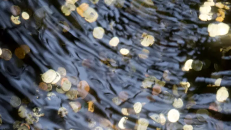 Gold Rush in Godavari: Villagers Search River as Water Levels Drop in Maharashtra
