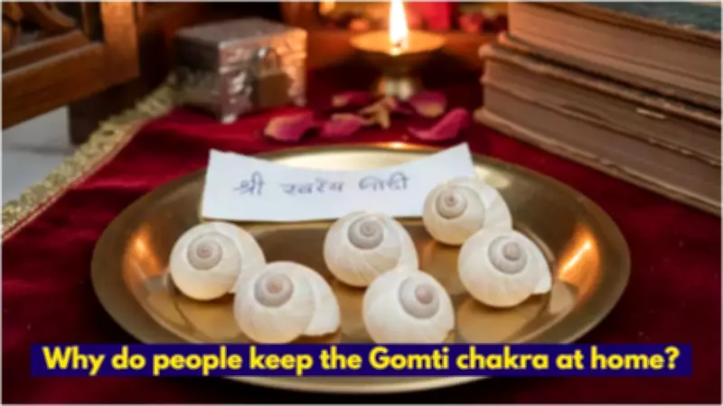 Gomti Chakra: Symbol of Steadiness for Home Worship and Financial Stability