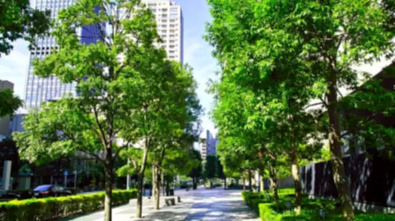 Greater Bengaluru Authority Enlists Students to Map and Remove Hazardous Trees