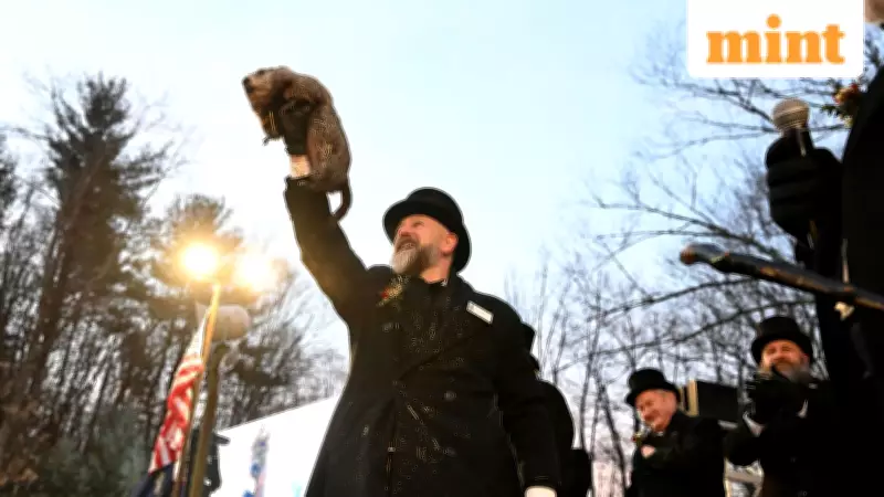 Groundhog Day 2026: Did Punxsutawney Phil See His Shadow? All FAQs Answered