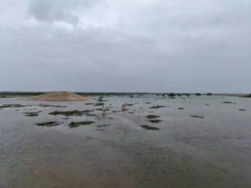 Gujarat Launches Major Water Conservation Project in Little Rann of Kutch
