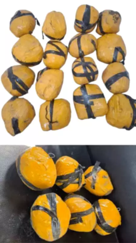 Gurdaspur Police Busts Two Major Drug Networks, Seizes 11 Kg Heroin