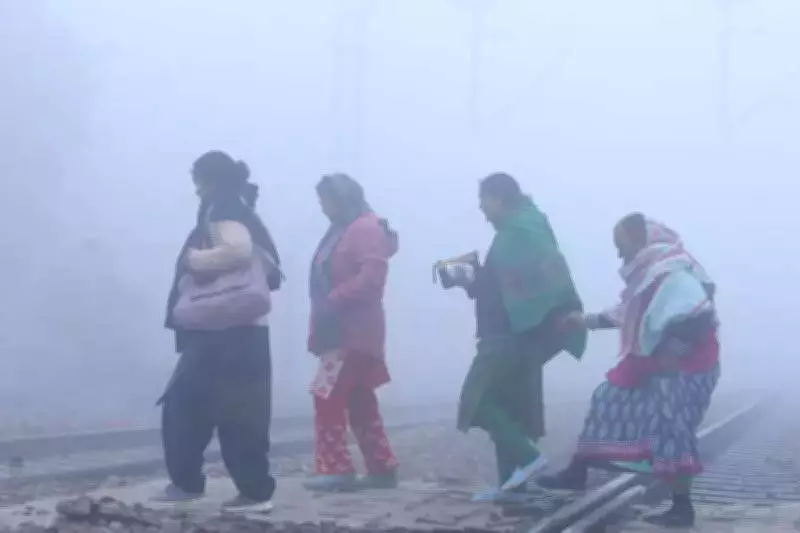 Gurgaon Wakes to Dense Fog, Temperature Swings Mark Haryana Weather Pattern
