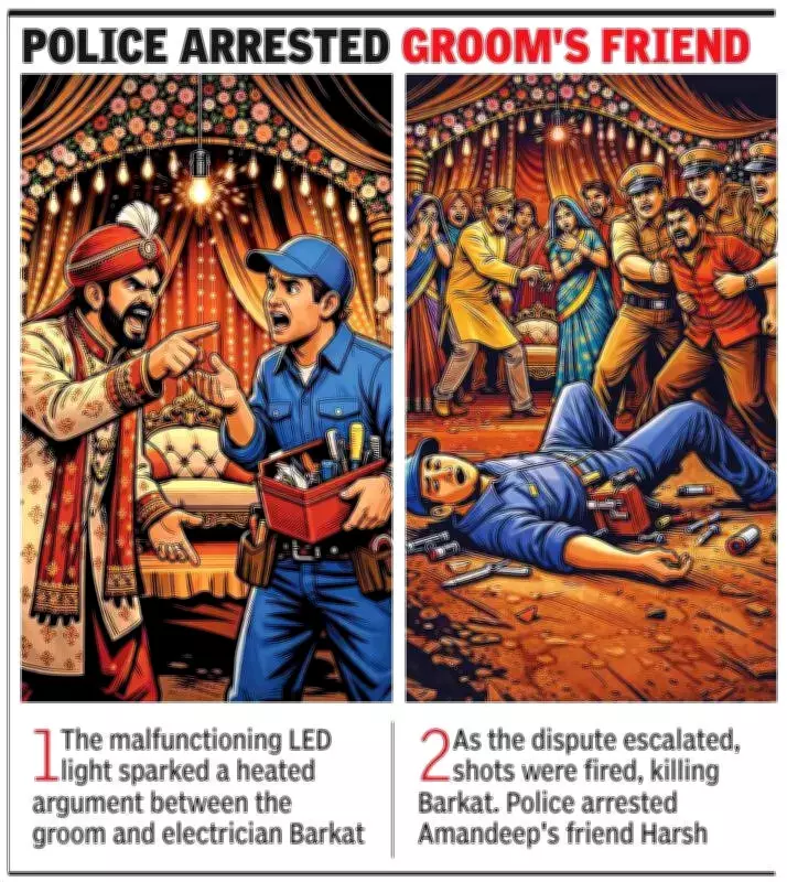 Gurgaon Wedding Tragedy: Electrician Shot Dead Over Faulty LED Light