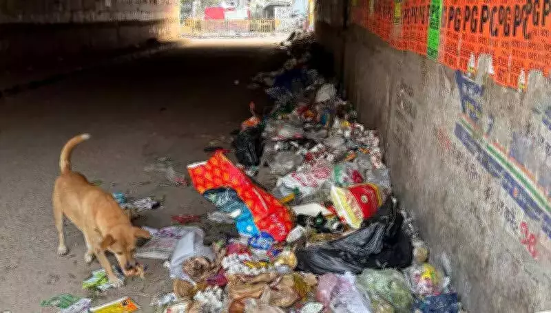 Gurgaon's Islampur Underpass Becomes Illegal Dumping Site, Causes Commuter Woes