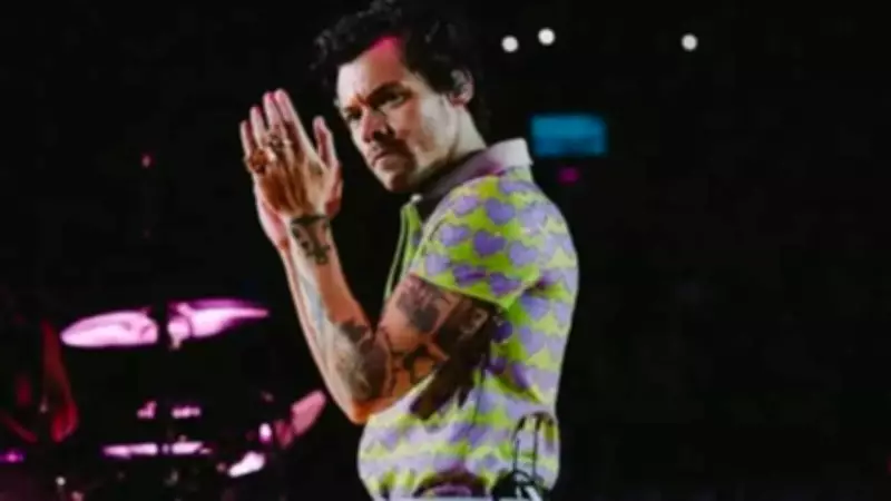 Harry Styles Reveals How Career Break Taught Him to 'Slow Down' and Appreciate Life