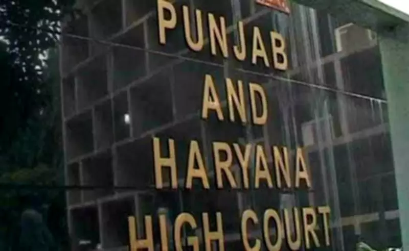 Haryana High Court: Contributory Negligence Must Be Pleaded and Proved, Not Presumed