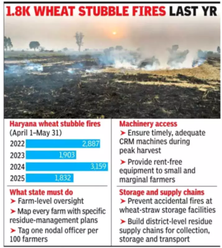 Haryana Launches Farm-Level Mapping to Combat Wheat Stubble Burning Pollution