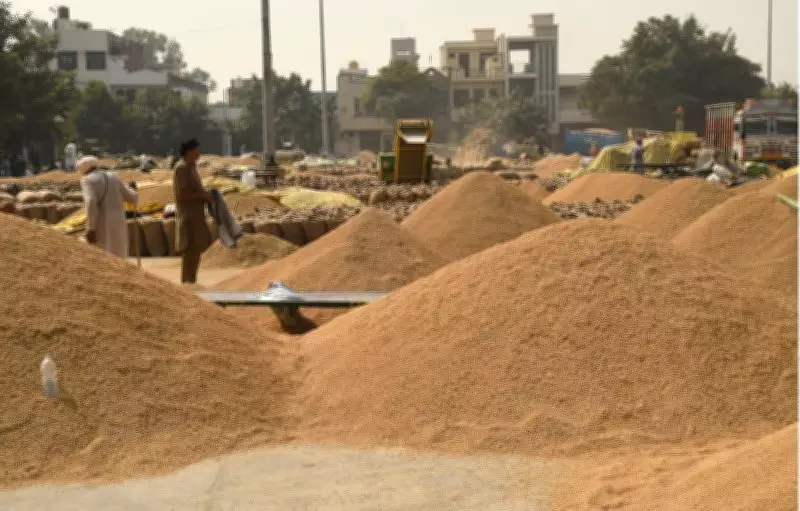 Haryana Market Committee Secretary Arrested in Paddy Ghost Procurement Scam