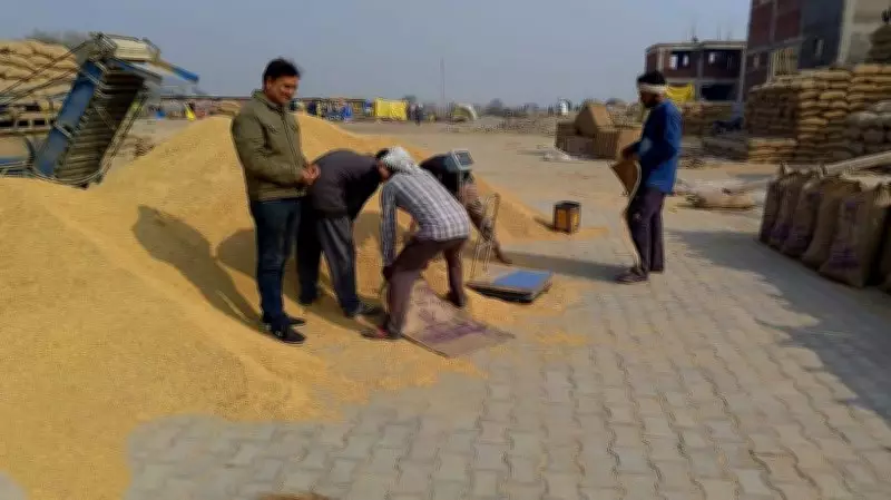 Haryana Paddy Procurement Scam: Another Senior Secretary Arrested