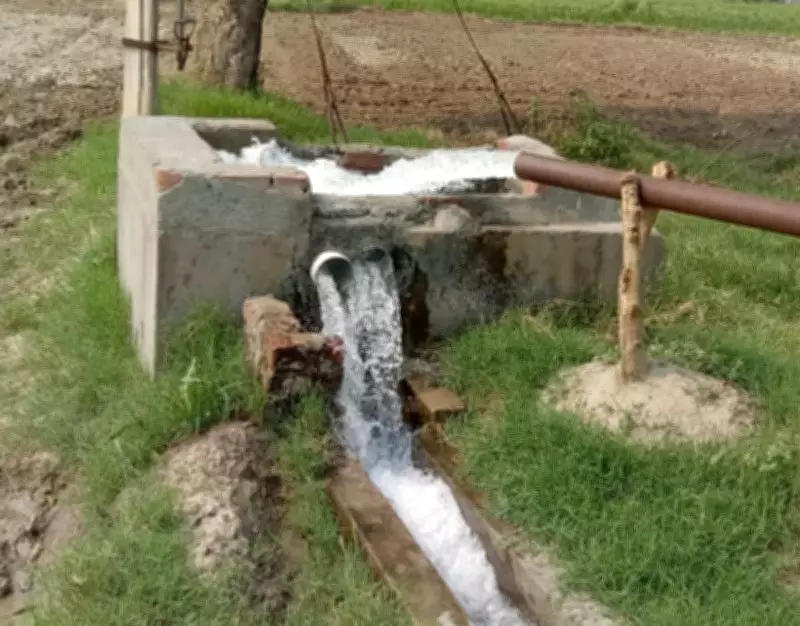 Haryana's Groundwater Emergency: Urgent Policy Reforms Needed to Save Aquifers