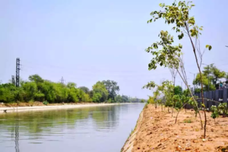Haryana's Rs 5,700-Crore World Bank Water Project Gains Momentum with DPR Work