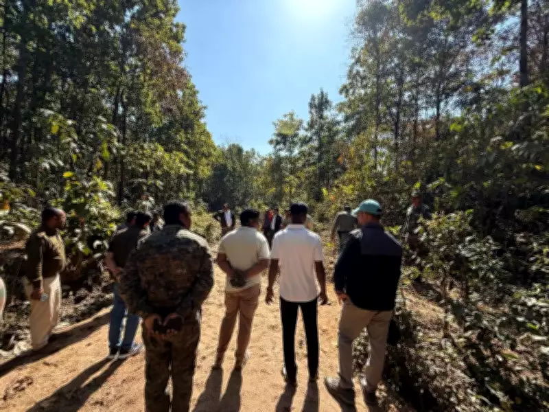 Hazaribag Officials to Radio-Collar Aggressive Elephant Matriarch After Fatal Attacks