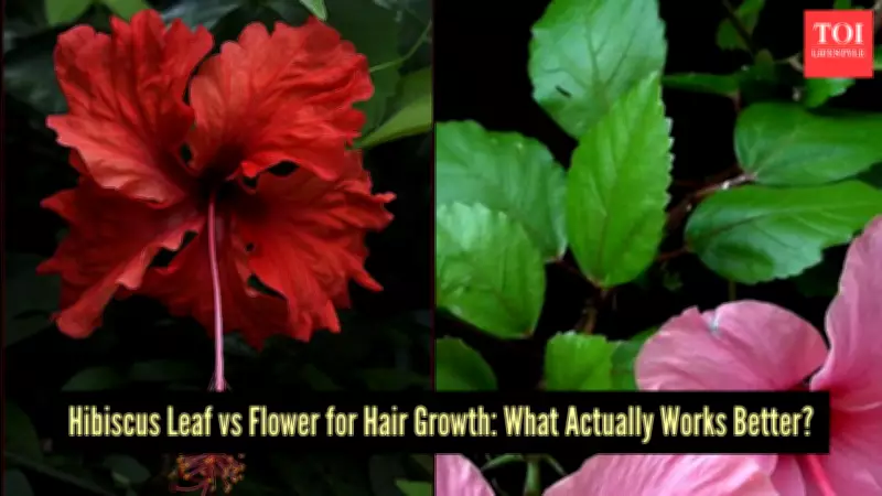 Hibiscus Flower vs Leaf: Which is Superior for Hair Growth?