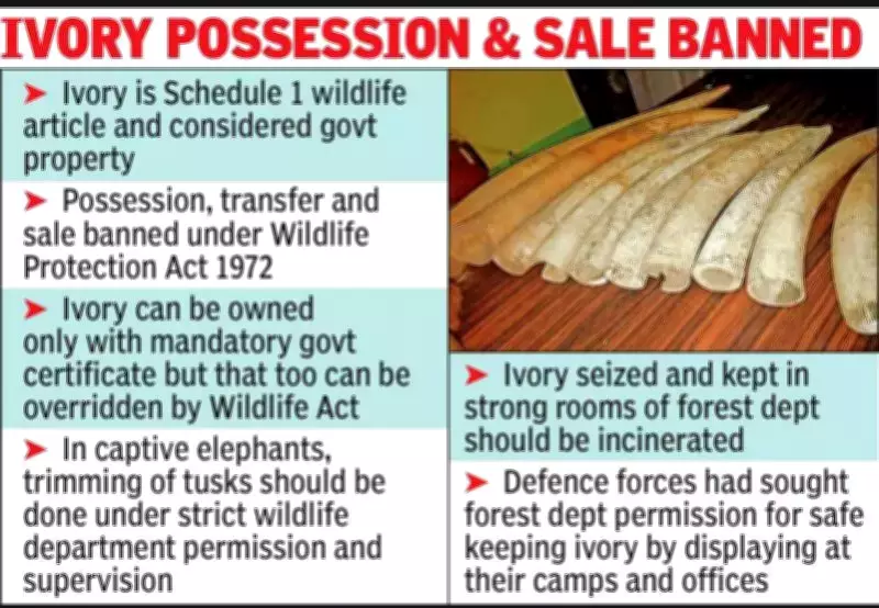 High-Value Elephant Tusks Stolen from Kerala Army Camp, 17 Detained