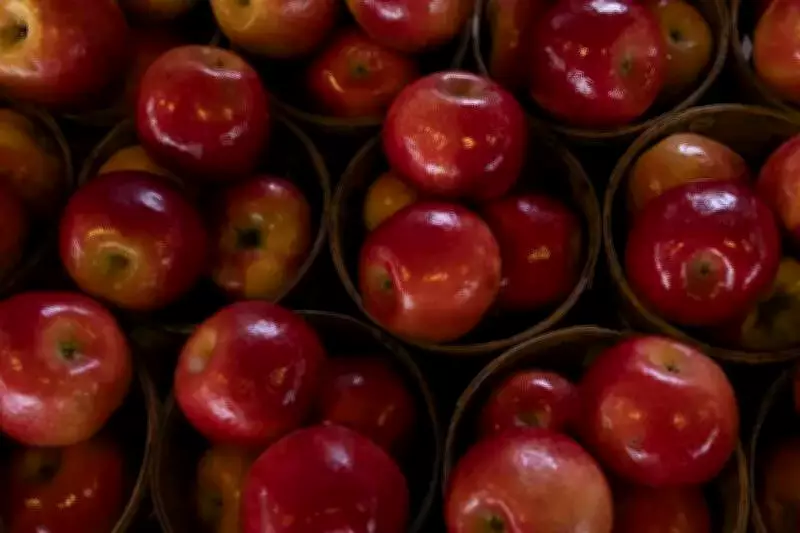 Himachal Apple Growers Await Rs 6.12 Crore in Unpaid Dues Amid Fraud Complaints