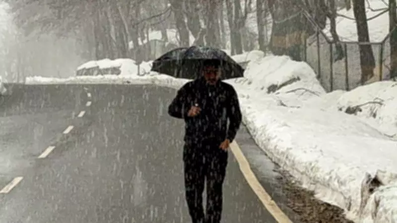 Himachal Weather Alert: IMD Predicts Snowfall and Rain on February 3