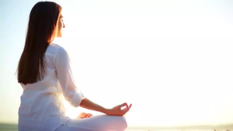 Himalayan Meditation: Cultivating Intelligence and Mastery in Daily Life