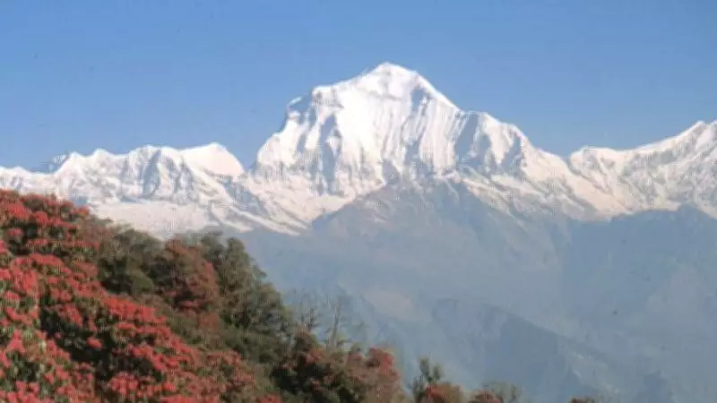 Himalayan Snowfall Plummets 23.6%, India Faces Severe Water Crisis