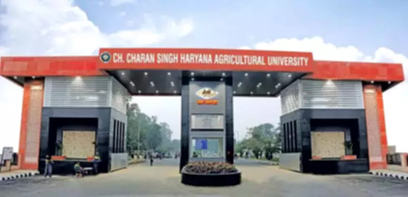 Hisar Advocates File ACB Complaint Against HAU Campus School Director Over HRA Irregularities