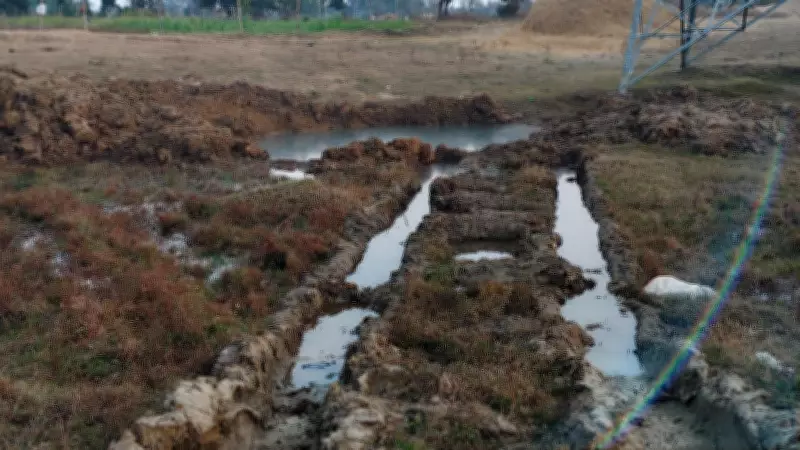 How a Dead Dog's Discovery in a Pit Led to a Murder Plot Unraveling in Jharkhand Village