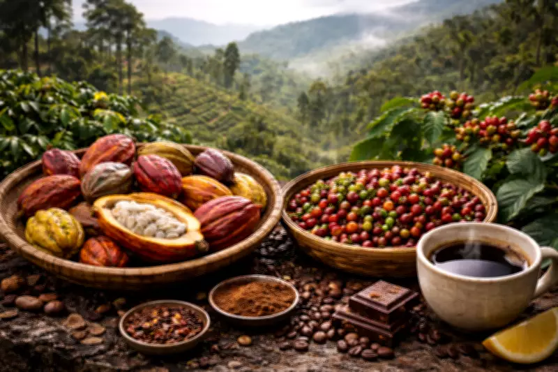 How Coffee and Cocoa Found Their Home in India's Hills