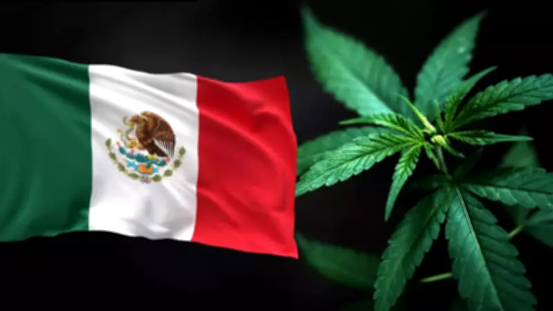 How Geography, Demand and Policy Shaped Mexico's Complex Drug Trade