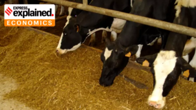 How the US Trade Deal Will Transform India's Animal Feed Market