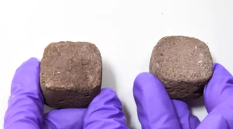 IISc Bengaluru Research Makes Martian Soil Bricks Possible with Toxic Chemical
