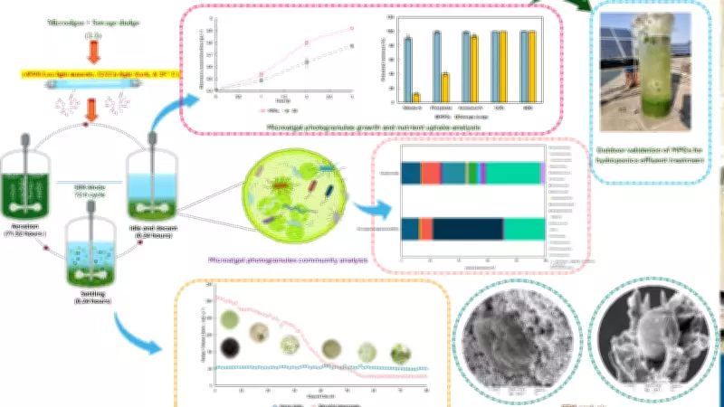 IIT Roorkee Develops Low-Cost Tech to Treat Hydroponic Wastewater